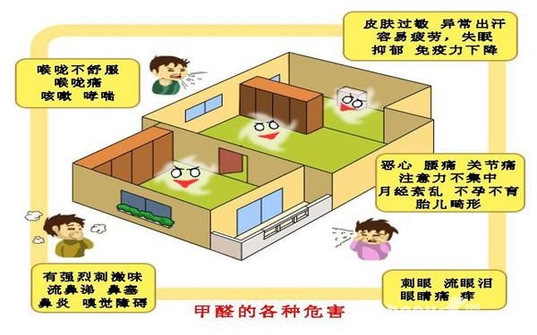甲醛，甲醛的危害